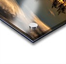 Hilton Head Beach Sea Oats Acrylic print