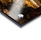 Sunrise Through the Trees 1 Acrylic print