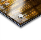 The Forest Glow at Sunset Acrylic print