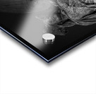 michigania soldiers sailors monument  vertical 30 Acrylic print