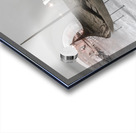 The Oslo Viking Ship Oseberg Acrylic print