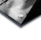 They Cannot Hurt Him Anymore Impression Acrylique