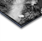 The Night Time is the Right Time Acrylic print