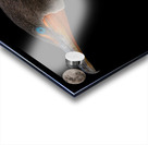 It s Called Balance Acrylic print