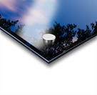 Magic Mushroom Kingdom Acrylic print