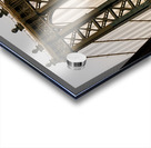 I Could Not Get Enough Acrylic print