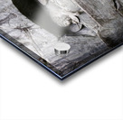 Lion of Lucerne Acrylic print