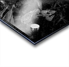 We Are Here Now Acrylic print