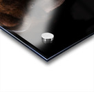 Where I Roam Acrylic print