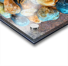 Jingles Seashells Acrylic print