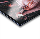Flamingo Acrylic print