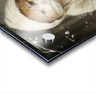 Ginger Kitten in Snow Acrylic print