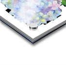 Hydrangea 1 Acrylic print