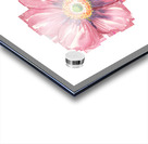 Watercolor Flower Minimalism PNG 28 Acrylic print