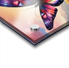 200223 beatutiful butterfly with prety colorslsun Acrylic print