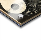 Yang Abstract 4 Acrylic print