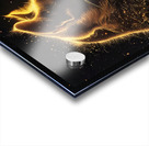 Cat Golden Glow 2 Acrylic print