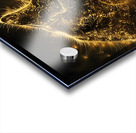 Cat Golden Glow 4 Acrylic print