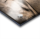 Luck Chalm and Miss Marilyn in Edisto Acrylic print