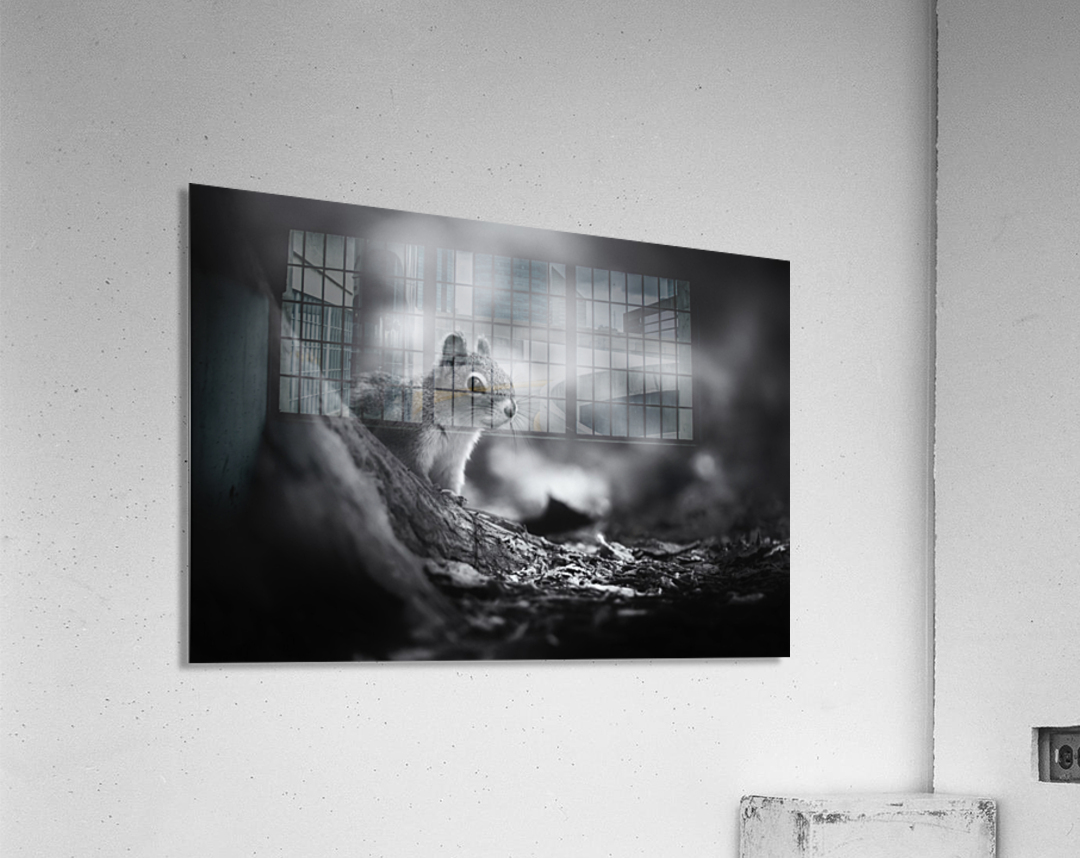 In the woods Acrylic Print