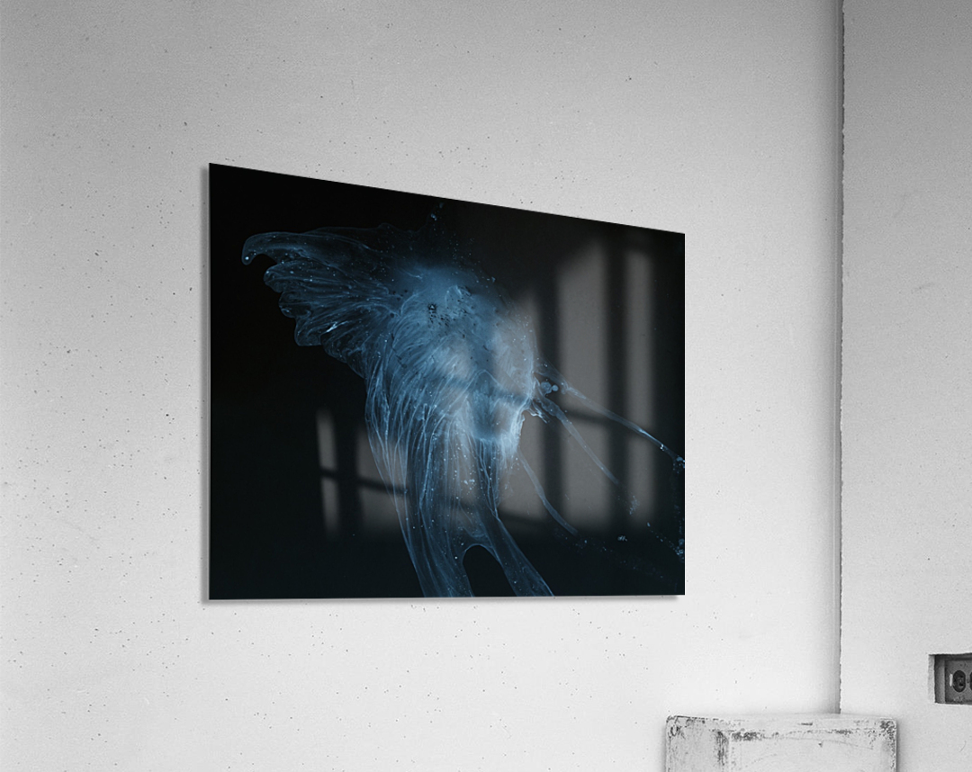Glowing blue jellyfish in the dark water Acrylic Print