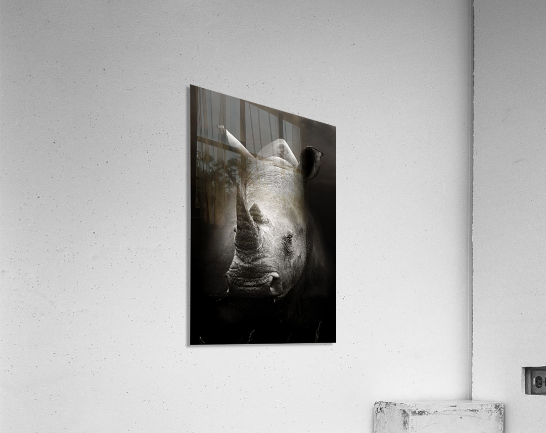 Rhinoceros portrait Acrylic Print