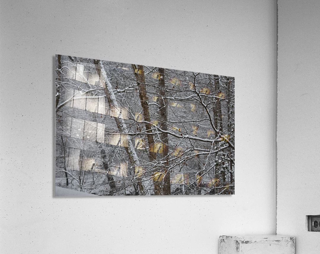 Snow in the South Acrylic Print