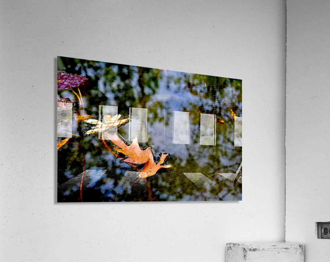 Koi Pond Delight Acrylic Print