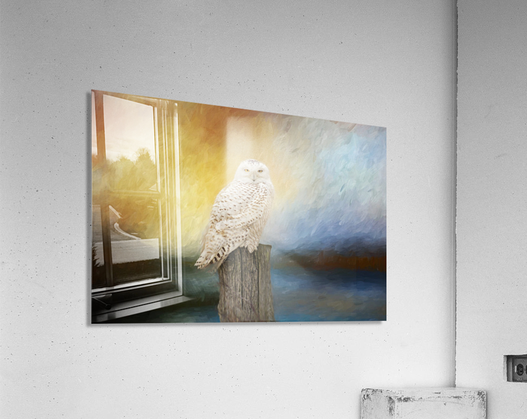 Impressions Acrylic Print