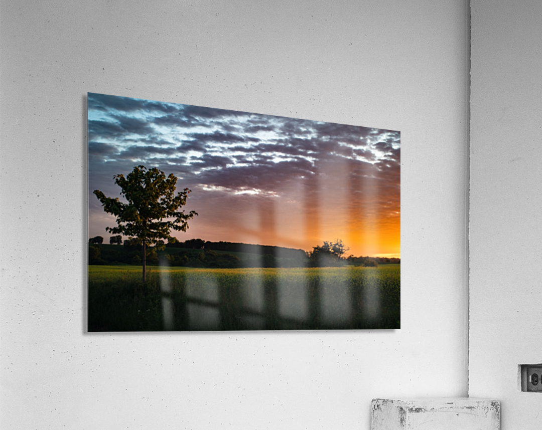 Morning Field Acrylic Print