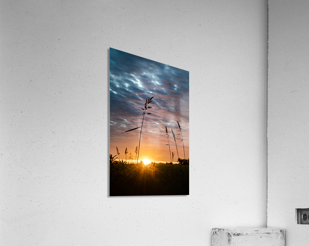 First Light Acrylic Print
