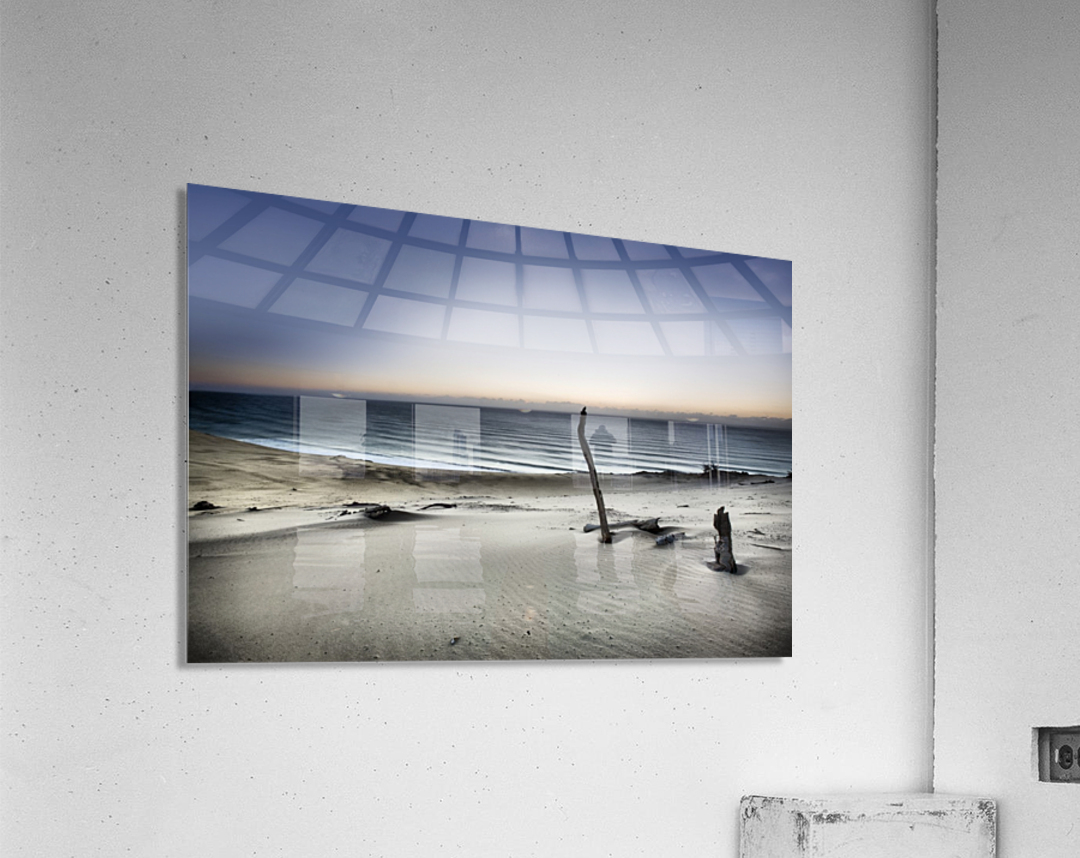 Reach for the sun Acrylic Print