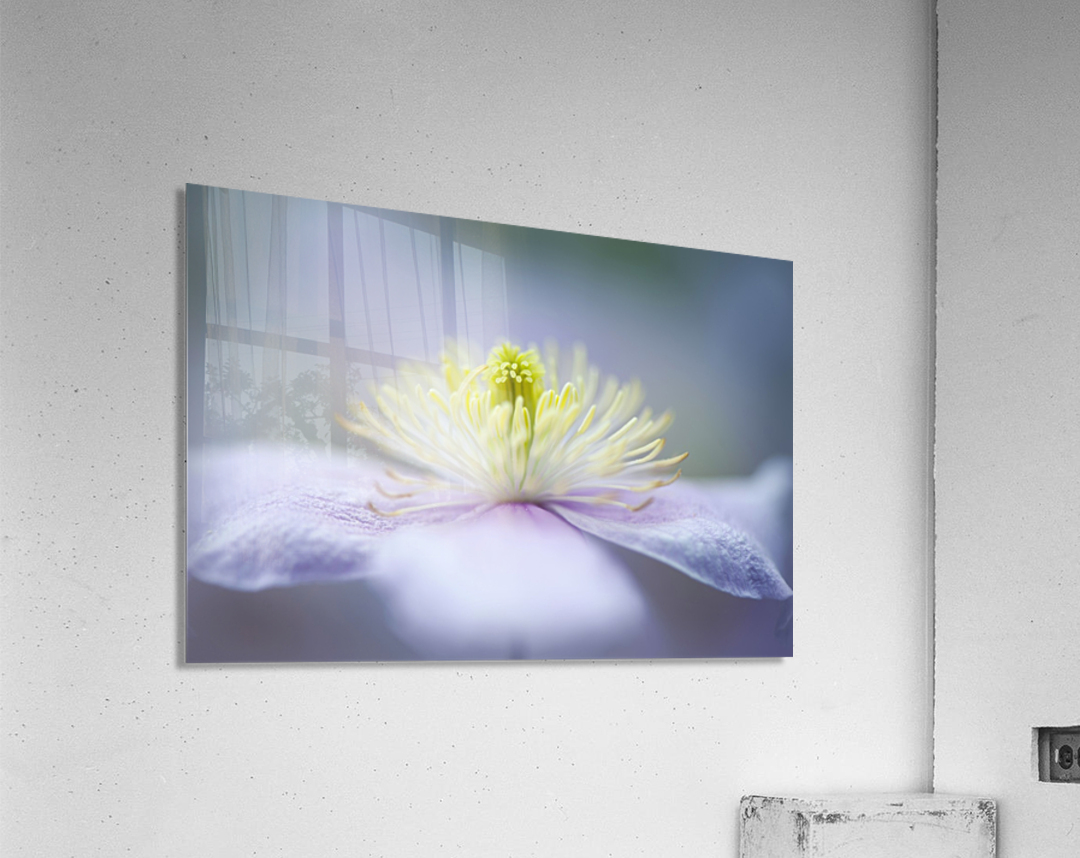 Mayleen Acrylic Print