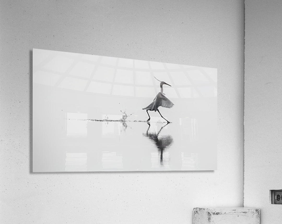 Dancing on the water Acrylic Print