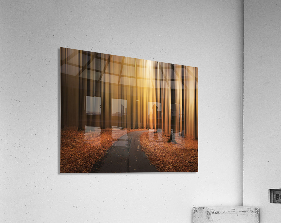 Path to unknown Acrylic Print