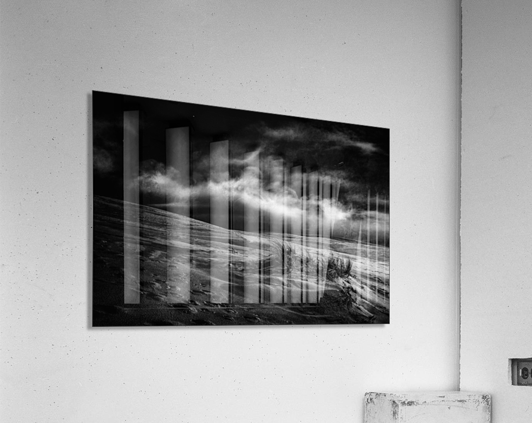 marram grass Acrylic Print