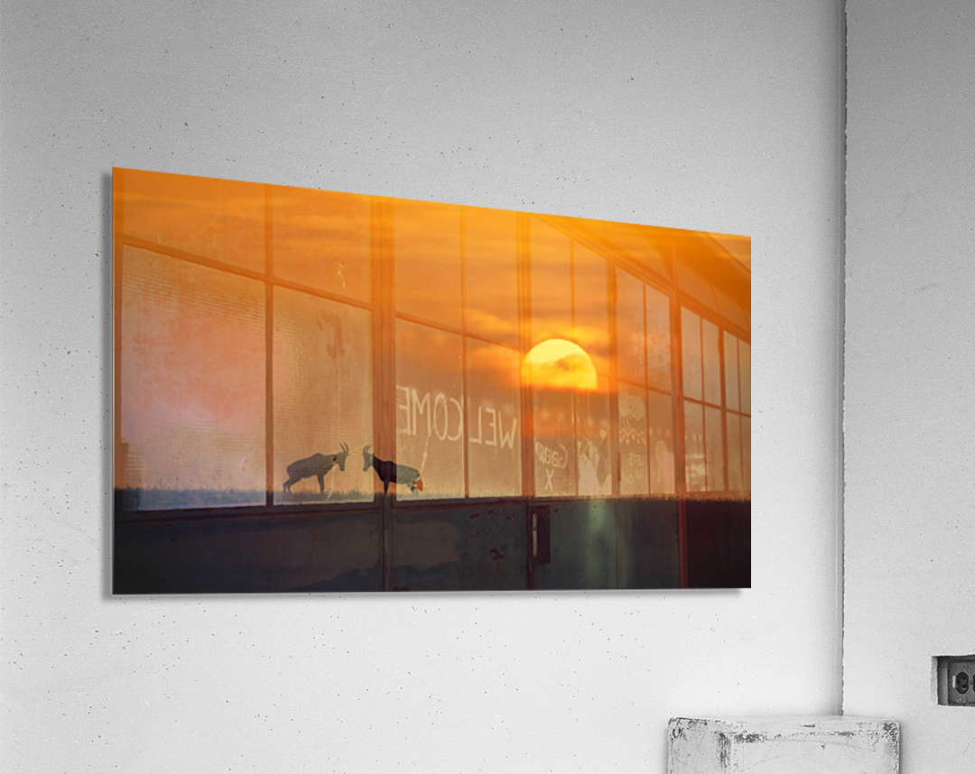 At The Sunset Acrylic Print