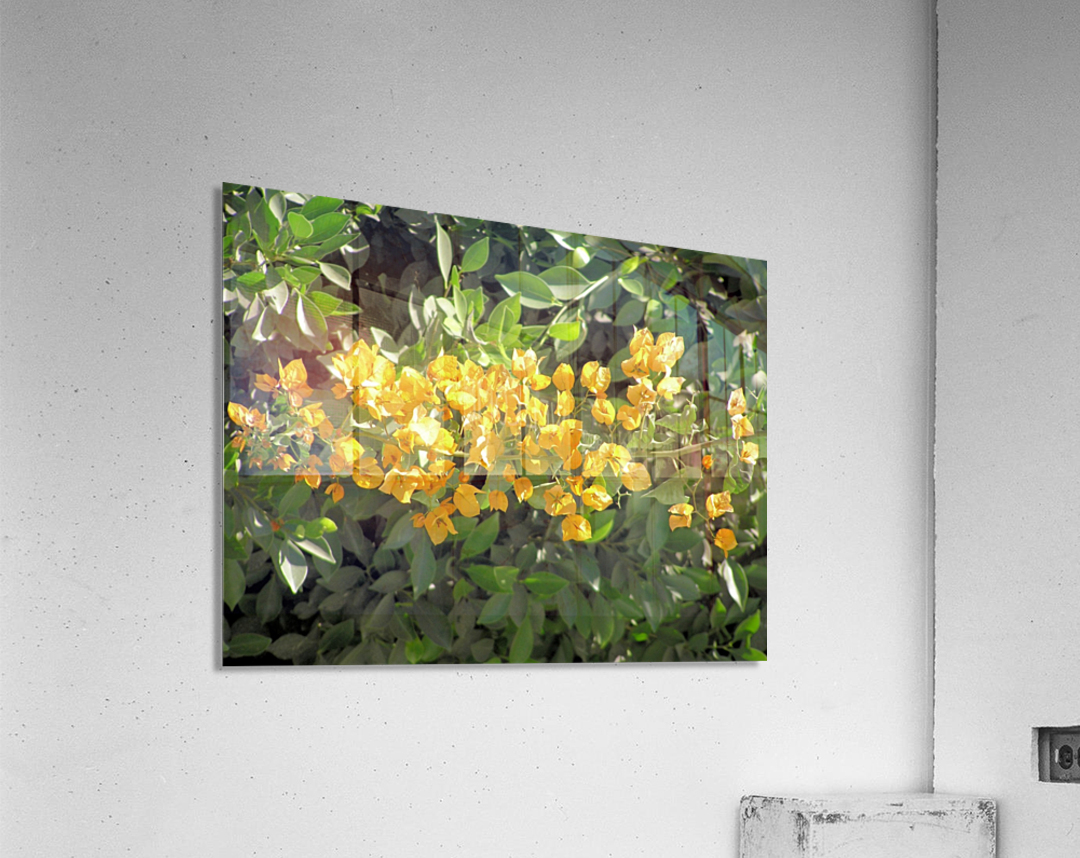 Flower35 Acrylic Print