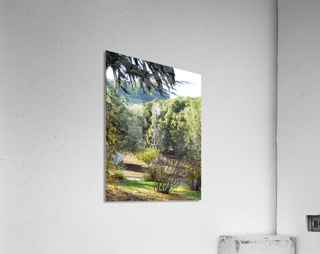 Windmill1 Acrylic Print