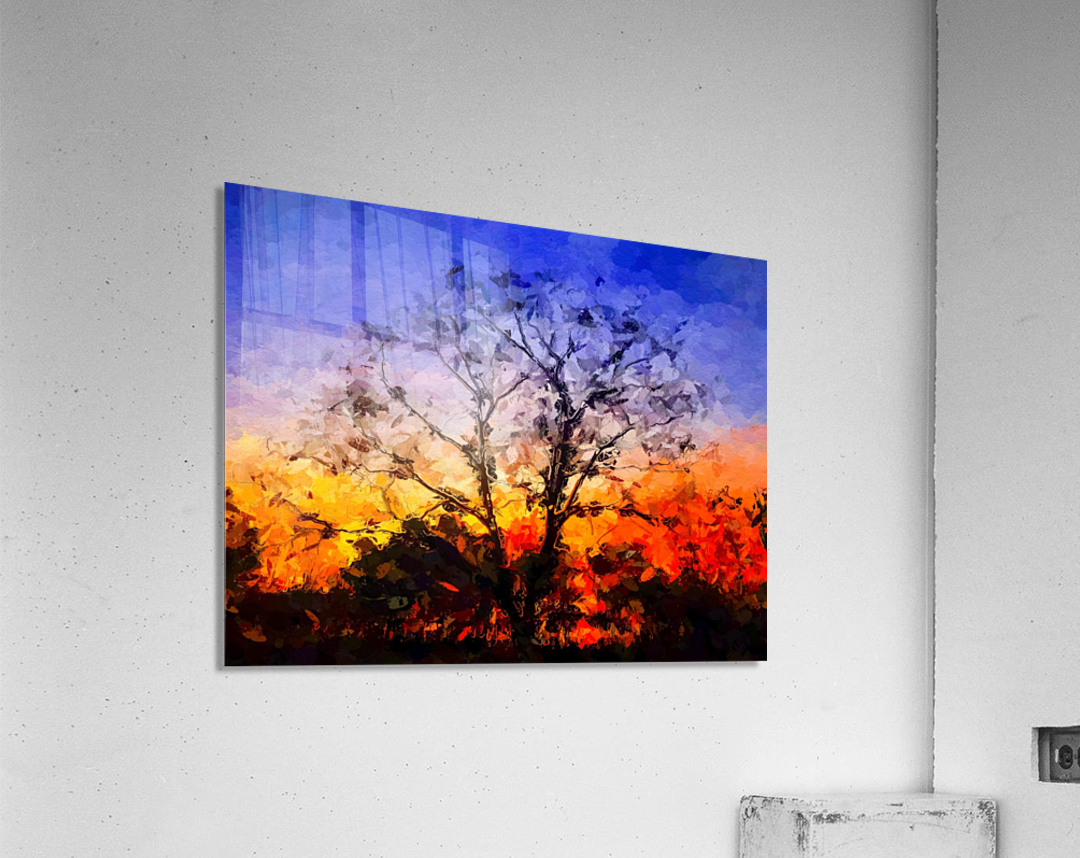 Sunrise Silhouette  Acrylic Print