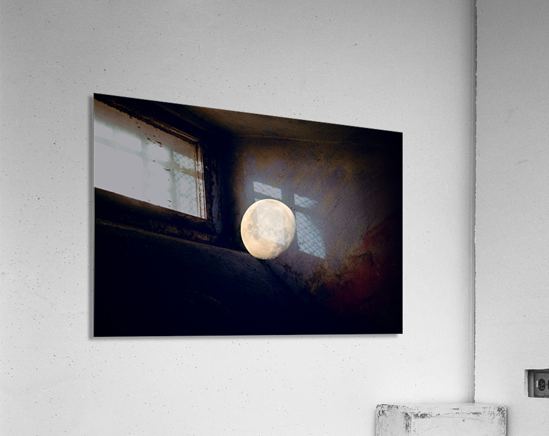 JPT_9059 MO Acrylic Print