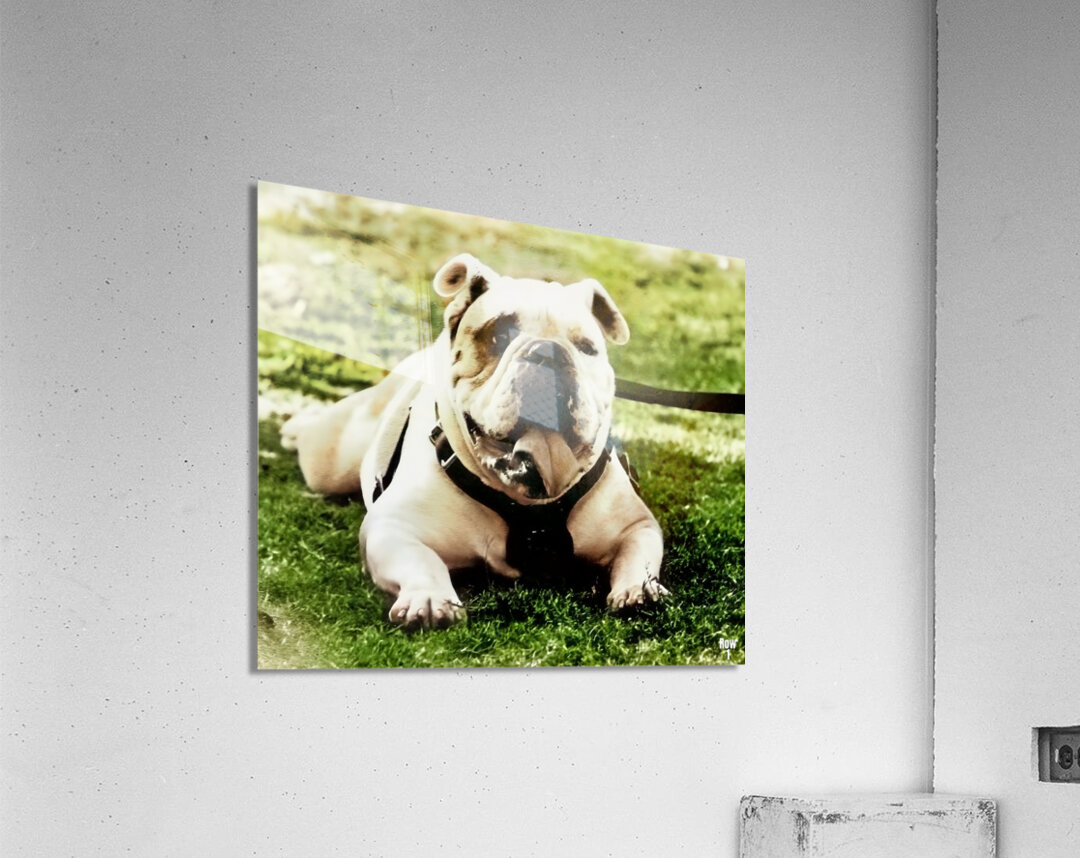 1980s bully mascot art  Acrylic Print