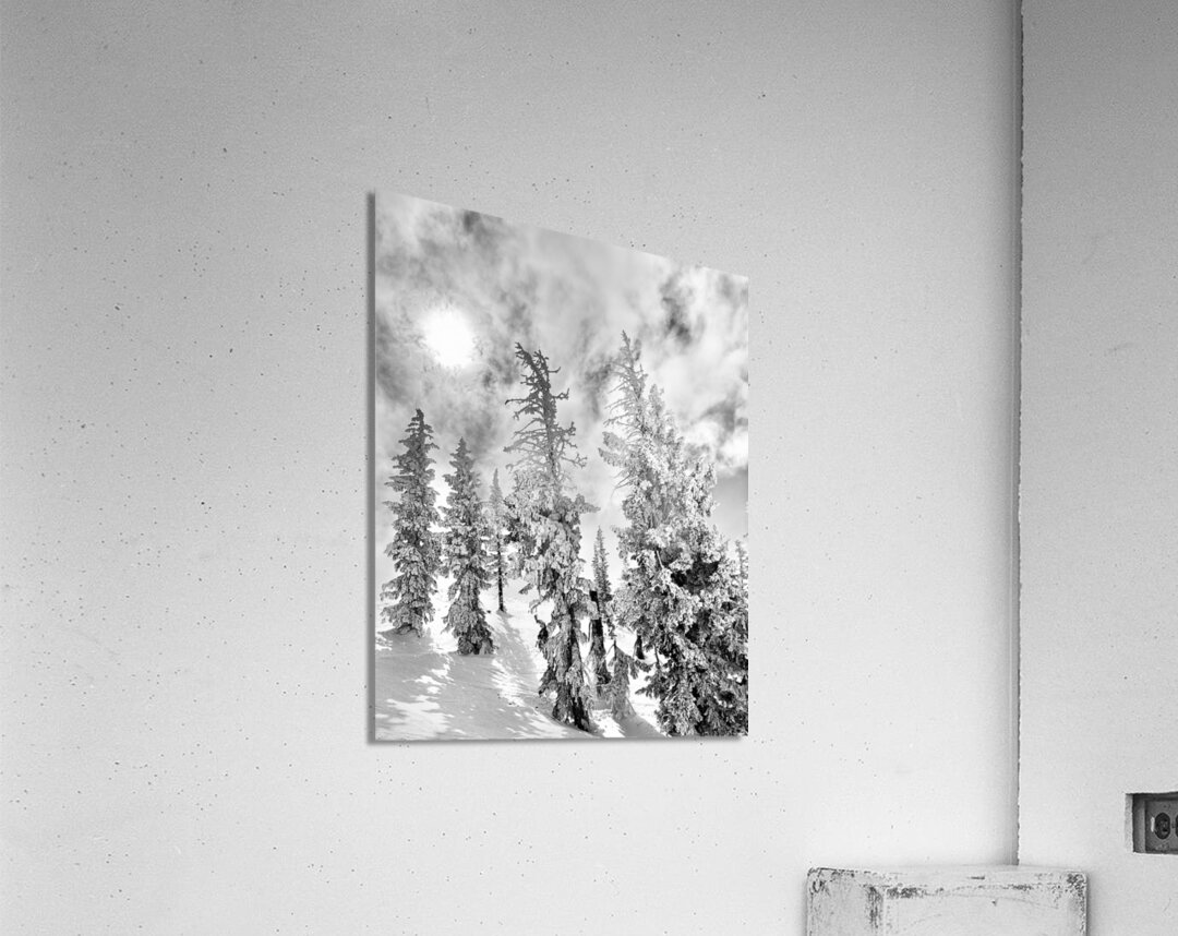 Frozen Giants  Acrylic Print