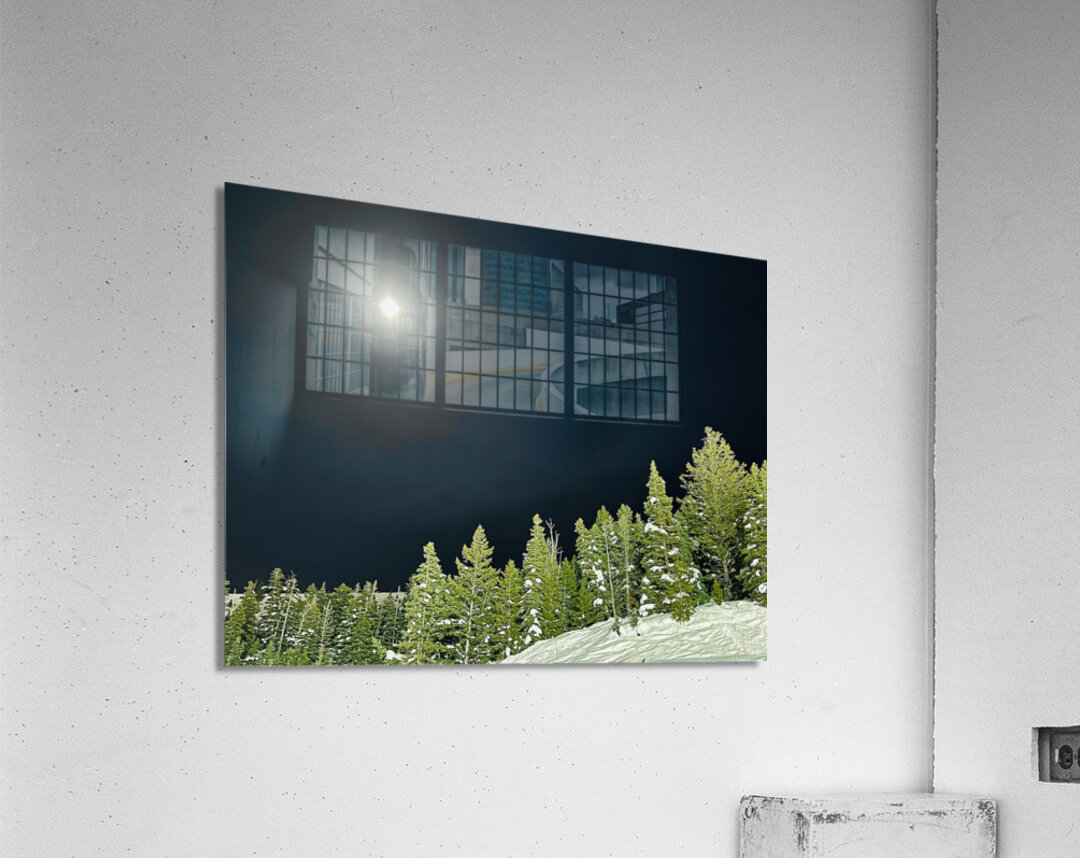 Moonlit Pines Acrylic Print