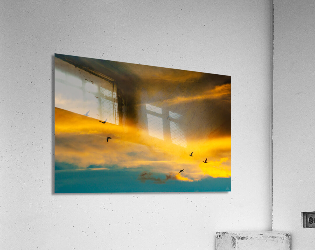 Wings and Color Acrylic Print