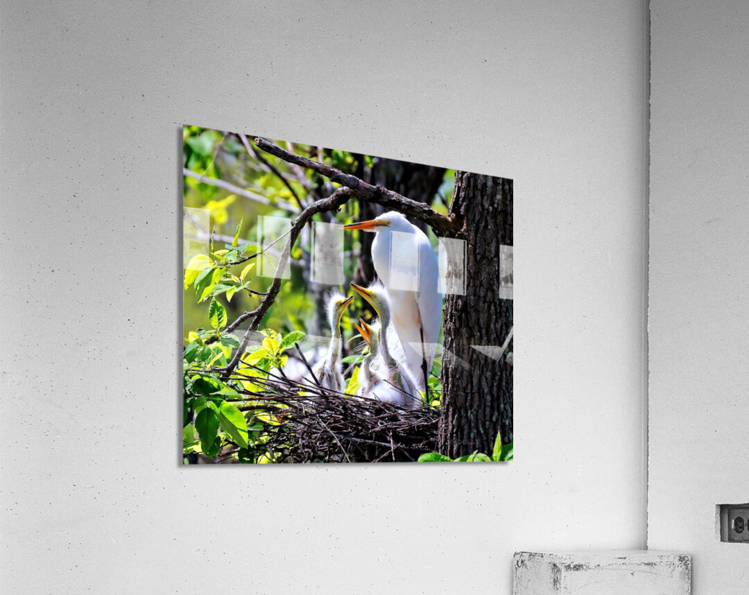 FRAMED BY NATURE Acrylic Print