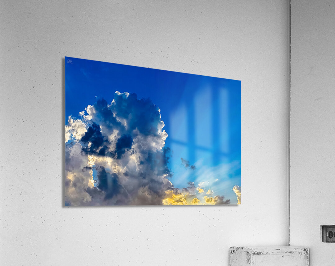 Lucent Acrylic Print