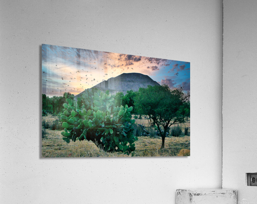 Mayan TEmple Acrylic Print