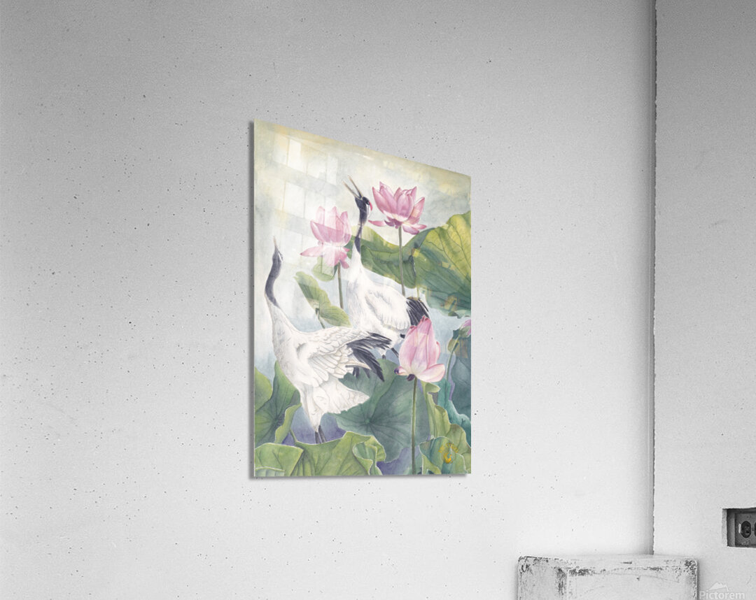 Grues du Japon Acrylic Print