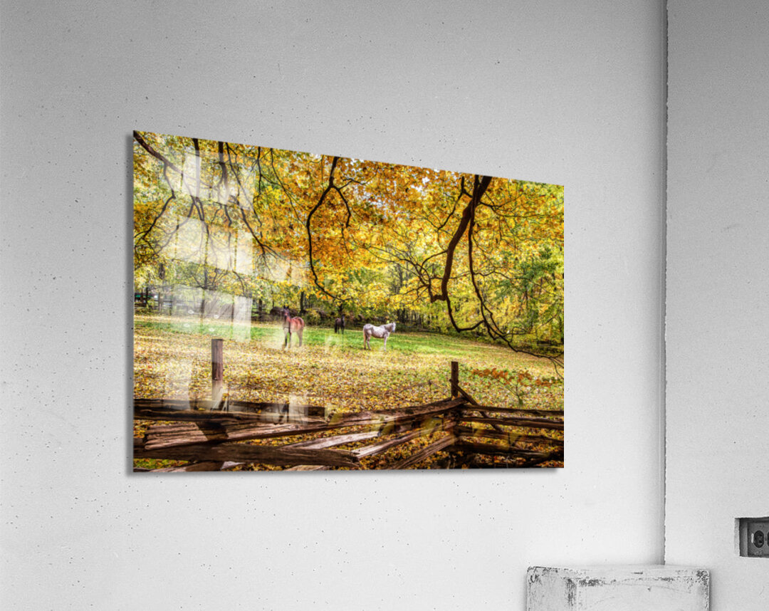 What are You Staring At Acrylic Print